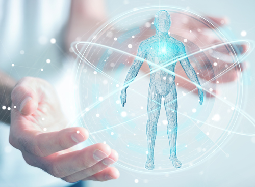 physiologie-gesundheit2punkt0